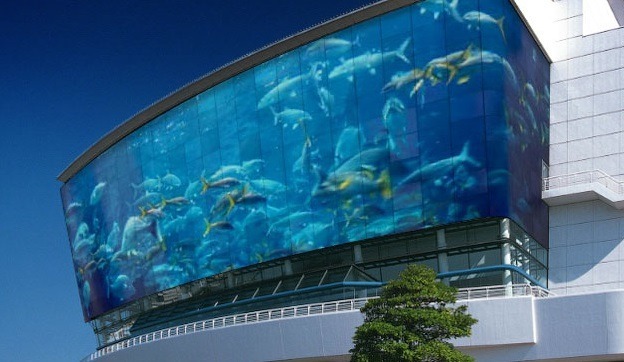 «Подобные проекты нужно не «задвигать», а продвигать». Суд изменил решение по океанариуму 1 «Подобные проекты нужно не «задвигать», а продвигать». Суд изменил решение по океанариуму 1