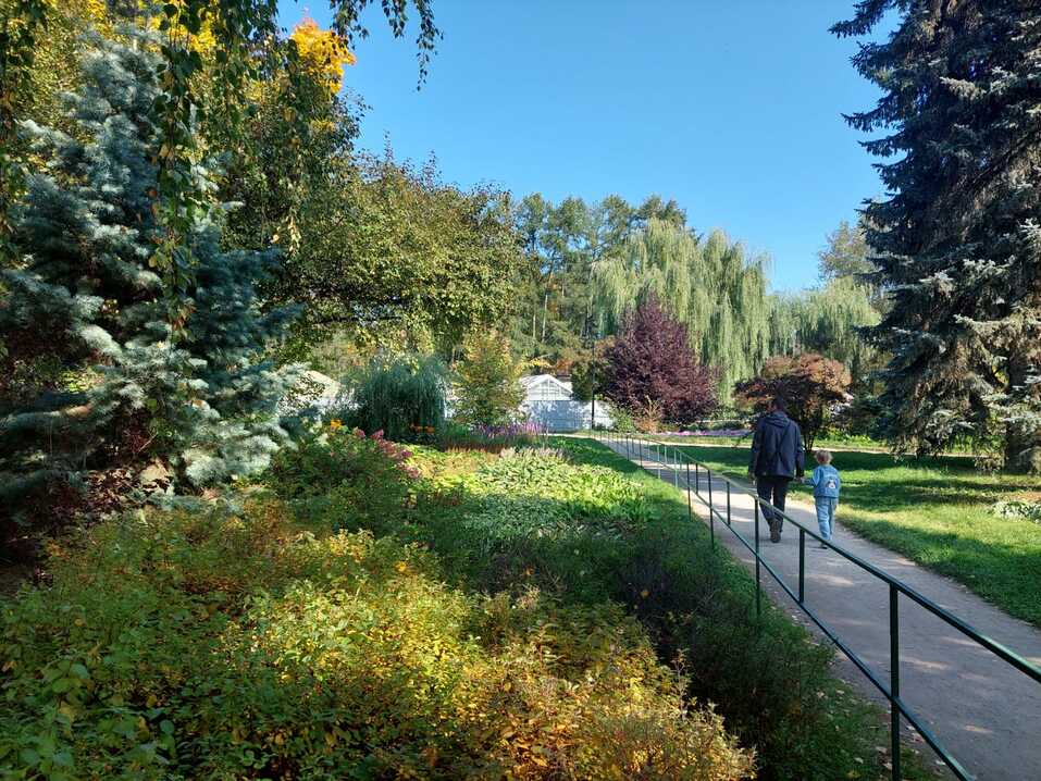 В дендропарке на Первомайской началась масштабная реконструкция. Что изменится? 1 В дендропарке на Первомайской началась масштабная реконструкция. Что изменится? 1