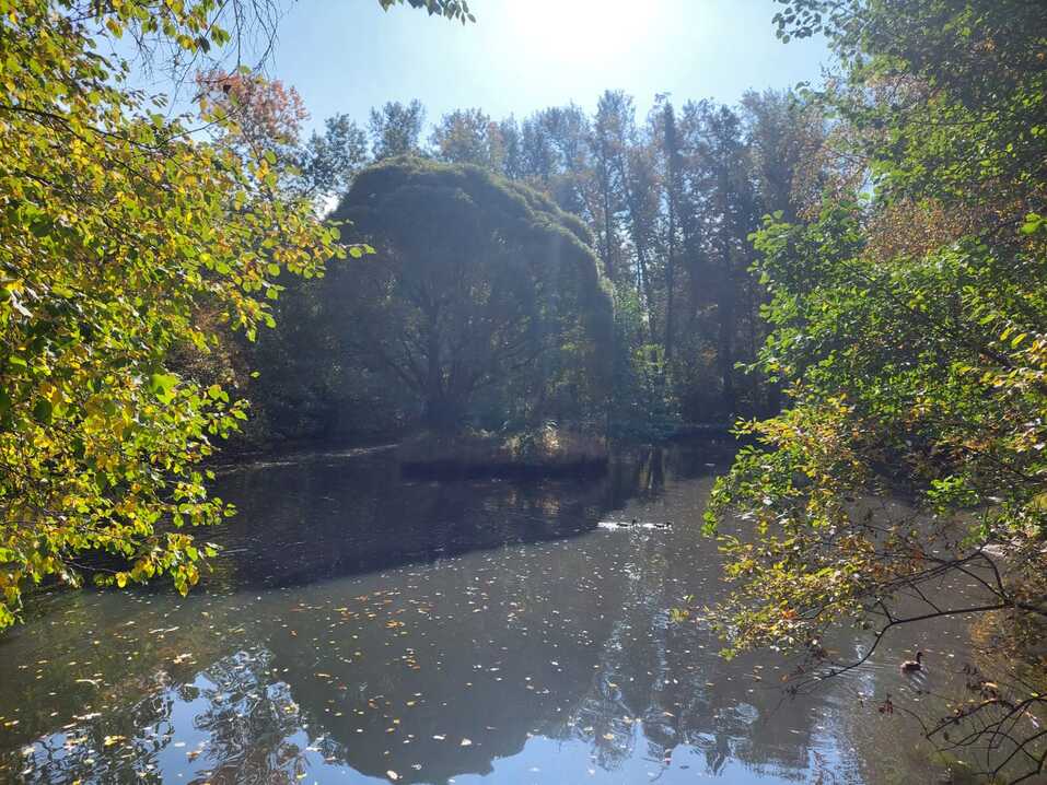 В дендропарке на Первомайской началась масштабная реконструкция. Что изменится? 2 В дендропарке на Первомайской началась масштабная реконструкция. Что изменится? 2