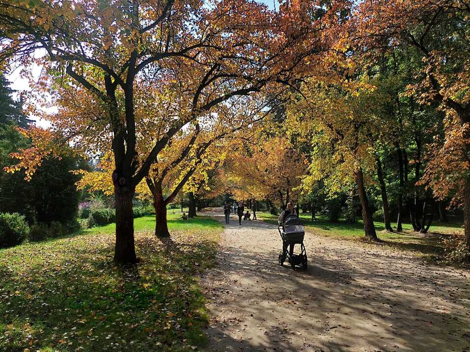 В дендропарке на Первомайской началась масштабная реконструкция. Что изменится? 3 В дендропарке на Первомайской началась масштабная реконструкция. Что изменится? 3