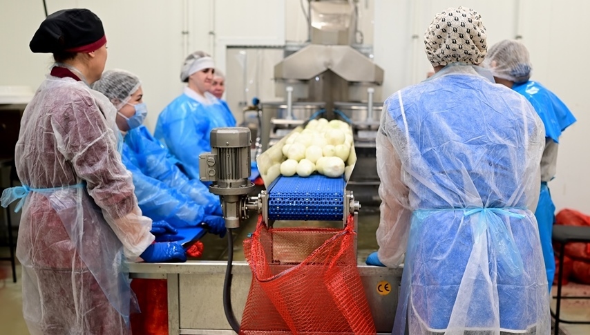 Вкусные инвестиции: как «ГлавОбедСервис» меняет рынок замороженных блюд в России 6 Вкусные инвестиции: как «ГлавОбедСервис» меняет рынок замороженных блюд в России 6