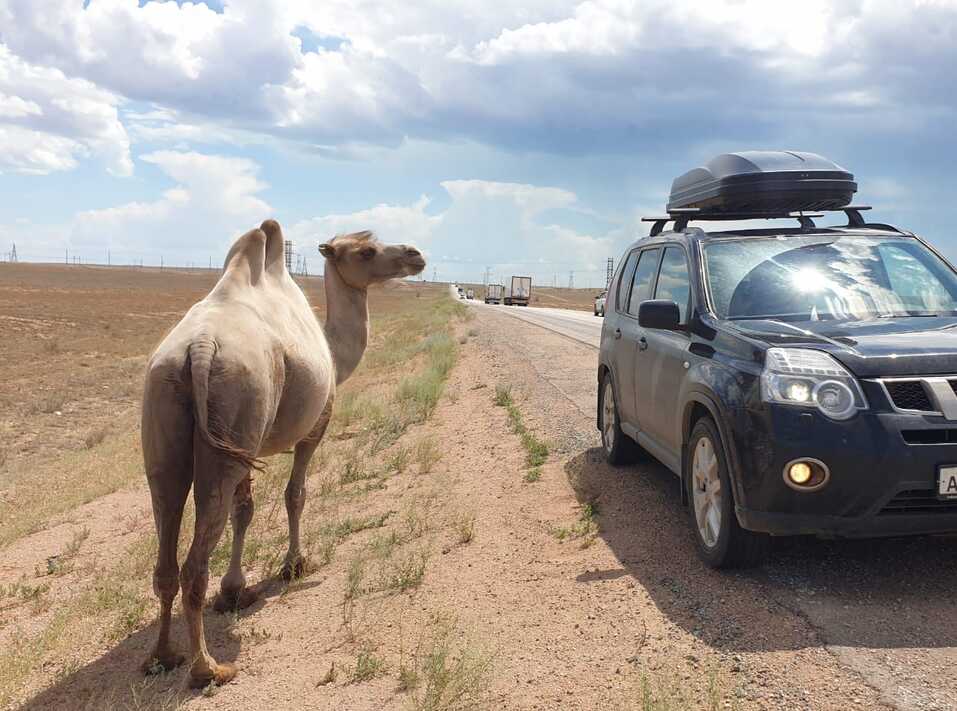 Зарубежный туризм. Как сэкономить на туроператоре и куда можно улететь из Екатеринбурга 3 Зарубежный туризм. Как сэкономить на туроператоре и куда можно улететь из Екатеринбурга 3