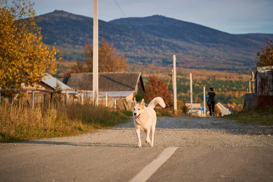 Не надо снаряжения. Самые видовые точки Северного Урала теперь доступны всем 8 Не надо снаряжения. Самые видовые точки Северного Урала теперь доступны всем 8