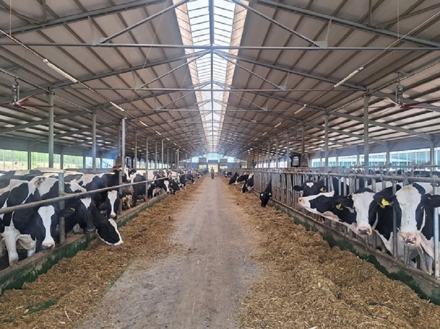 Крупнейшие инвестпроекты Нижегородской области-2024. На что направили более 10 млрд руб.? 6 Крупнейшие инвестпроекты Нижегородской области-2024. На что направили более 10 млрд руб.? 6