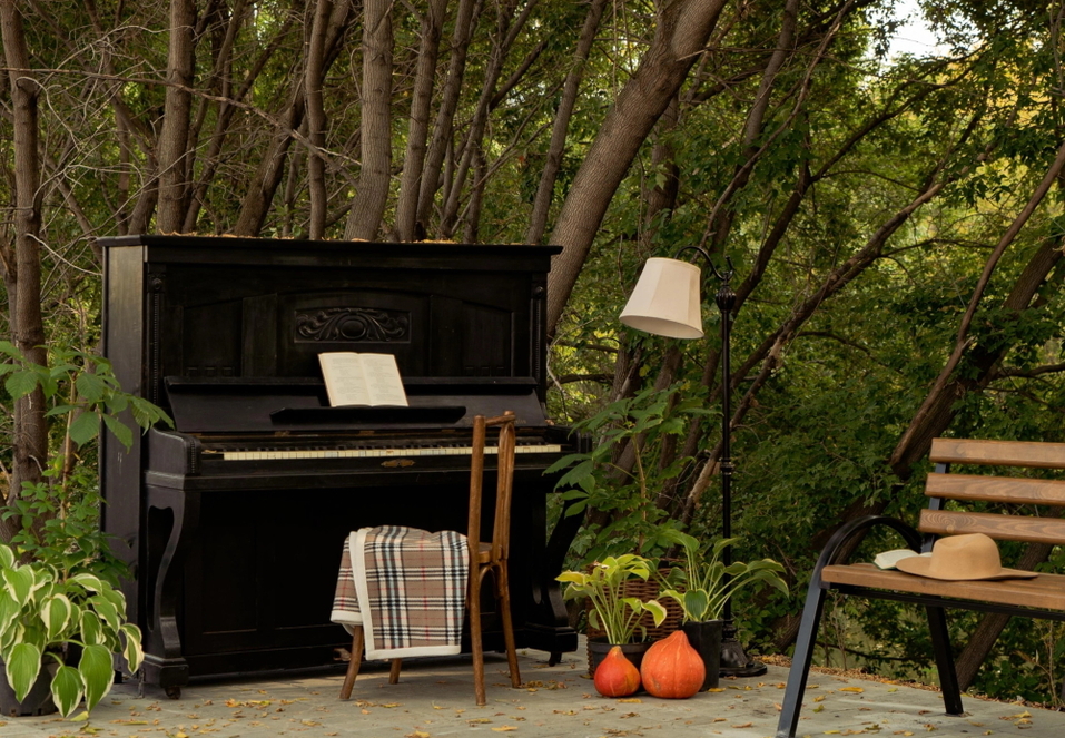 Андрей Гавриловский устроил в центре города парк за 15 млн руб. 3 Андрей Гавриловский устроил в центре города парк за 15 млн руб. 3