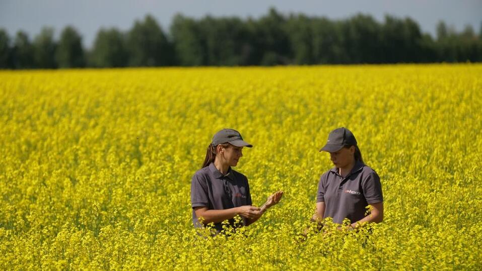 Новосибирский центр агротехнологий ускорил оказание услуг благодаря нацпроекту 1 Новосибирский центр агротехнологий ускорил оказание услуг благодаря нацпроекту 1