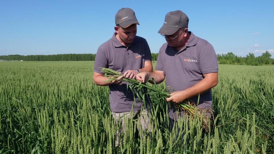 Новосибирский центр агротехнологий ускорил оказание услуг благодаря нацпроекту 2 Новосибирский центр агротехнологий ускорил оказание услуг благодаря нацпроекту 2