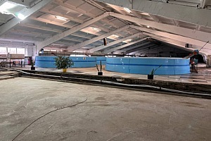 Рыбный деликатес челябинского производства 6 Рыбный деликатес челябинского производства 6