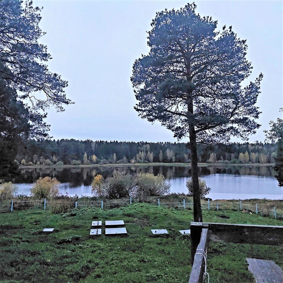 Кремль, варенье из шишек, SPA-комплекс, сувениры из шерсти альпаки, фольклор и заброшки 11 Кремль, варенье из шишек, SPA-комплекс, сувениры из шерсти альпаки, фольклор и заброшки 11