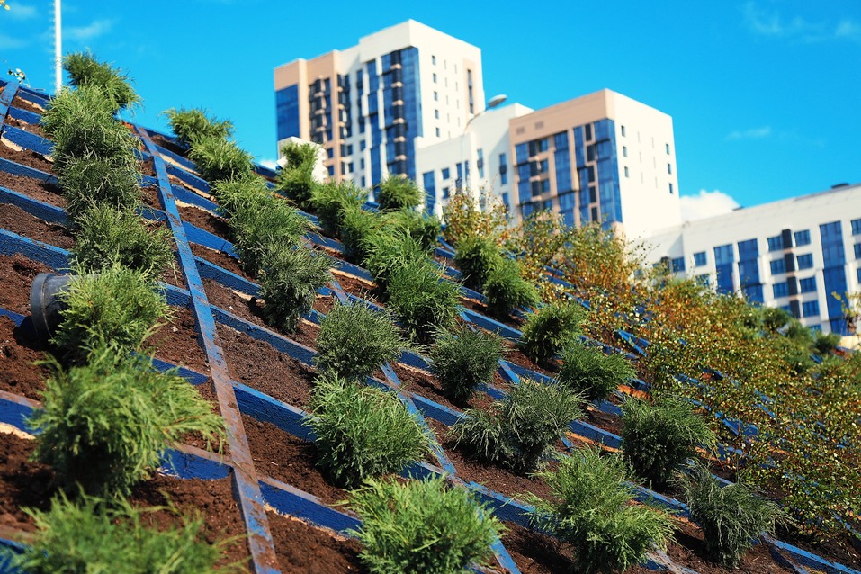 Набережная Атмофеста принимает участие в Национальной экологической премии 3 Набережная Атмофеста принимает участие в Национальной экологической премии 3