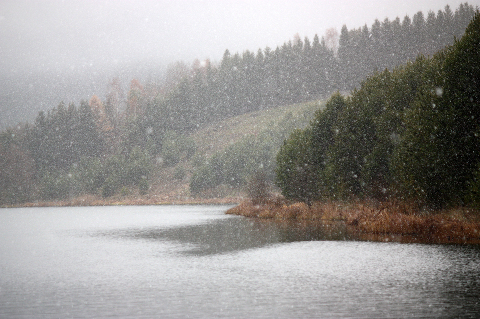 Уральская Гамаюнщина: гнездовье чудо-птиц или этника, чудом сохранившаяся сквозь века? 8 Уральская Гамаюнщина: гнездовье чудо-птиц или этника, чудом сохранившаяся сквозь века? 8