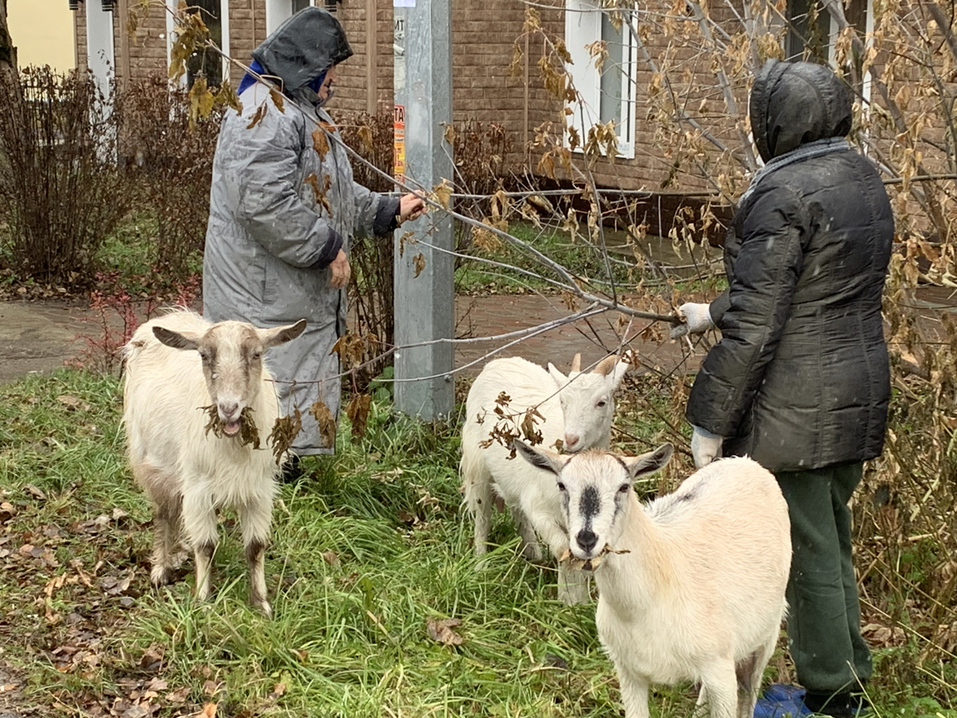 Уральская Гамаюнщина: гнездовье чудо-птиц или этника, чудом сохранившаяся сквозь века? 25 Уральская Гамаюнщина: гнездовье чудо-птиц или этника, чудом сохранившаяся сквозь века? 25