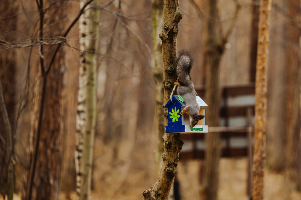 Зачем в Академический приехали десятки мам со всего Екатеринбурга 3 Зачем в Академический приехали десятки мам со всего Екатеринбурга 3