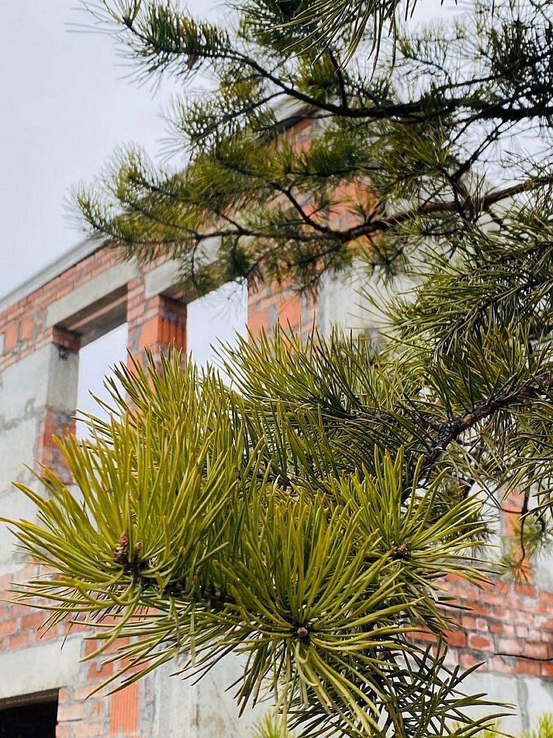 На берегу озера Увильды строят всесезонный курорт 7 На берегу озера Увильды строят всесезонный курорт 7