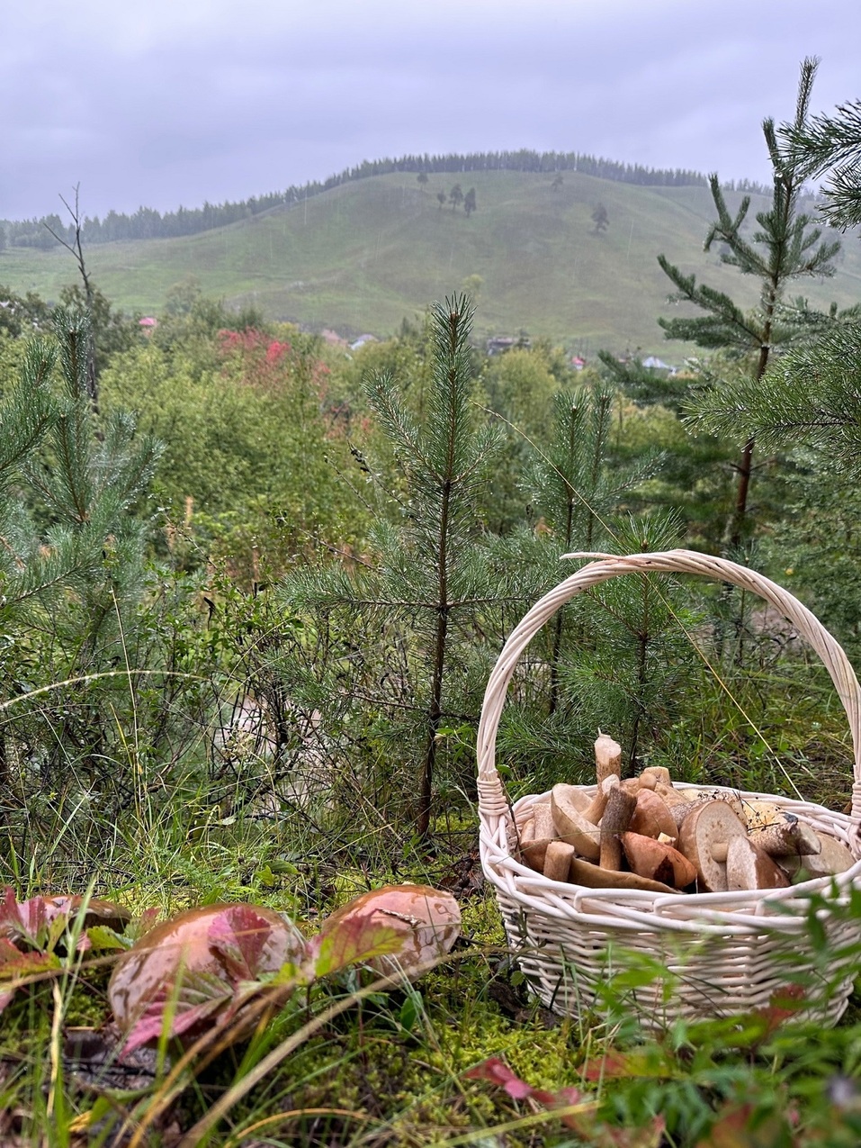 В Челябинской области продают глэмпинг вблизи «Солнечной долины»
2 В Челябинской области продают глэмпинг вблизи «Солнечной долины»
2