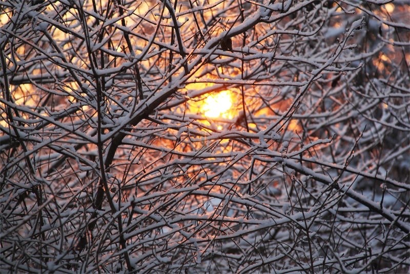 Екатеринбург, он какой — серый или пестрый? И что делать, чтобы пережить 6 месяцев хмари 4 Екатеринбург, он какой — серый или пестрый? И что делать, чтобы пережить 6 месяцев хмари 4