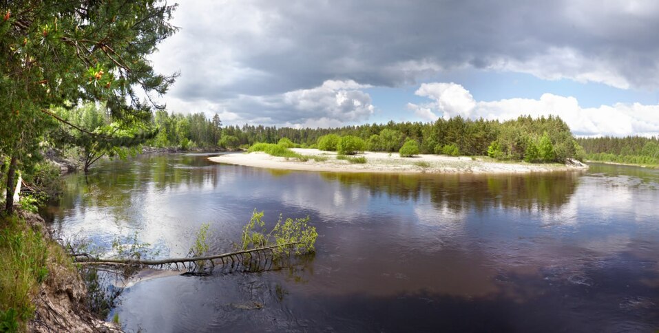 Фото: правительство Нижегородской области Фото: правительство Нижегородской области