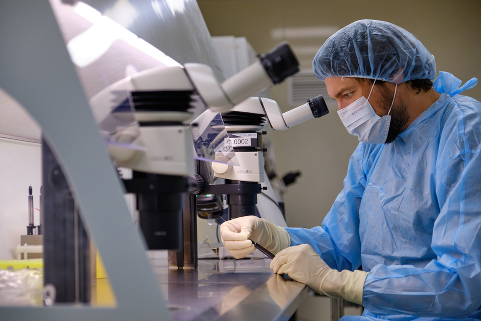 Евгения Рябко, ЦСМ: «Наивно полагаться на природу. Нужно брать все в свои руки»
1 Евгения Рябко, ЦСМ: «Наивно полагаться на природу. Нужно брать все в свои руки»
1