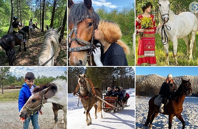 Горки, альпаки, квесты, йога, борщ у костра, жидкий металл. Куда поехать на каникулы? 7 Горки, альпаки, квесты, йога, борщ у костра, жидкий металл. Куда поехать на каникулы? 7