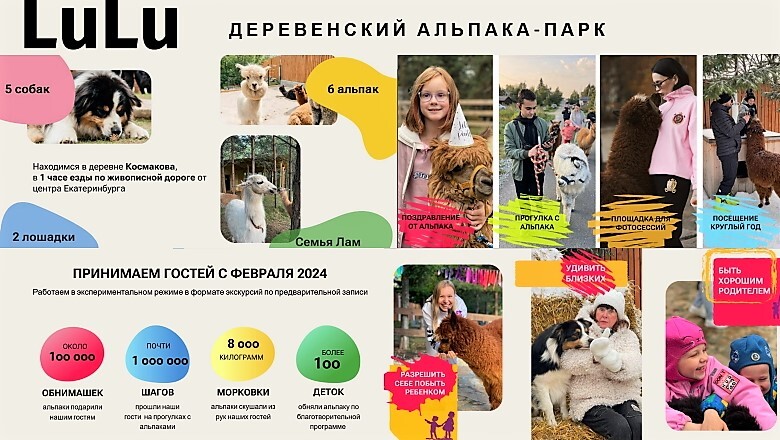 Горки, альпаки, квесты, йога, борщ у костра, жидкий металл. Куда поехать на каникулы? 11 Горки, альпаки, квесты, йога, борщ у костра, жидкий металл. Куда поехать на каникулы? 11