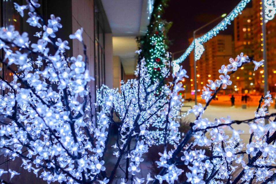 Уже работают и доступны для всех. Какие зимние активности ждут вас в Академическом 2 Уже работают и доступны для всех. Какие зимние активности ждут вас в Академическом 2