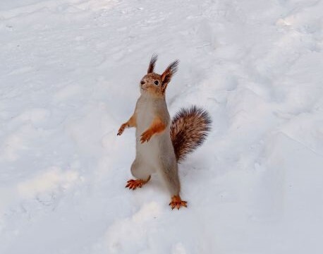 Уже работают и доступны для всех. Какие зимние активности ждут вас в Академическом 3 Уже работают и доступны для всех. Какие зимние активности ждут вас в Академическом 3