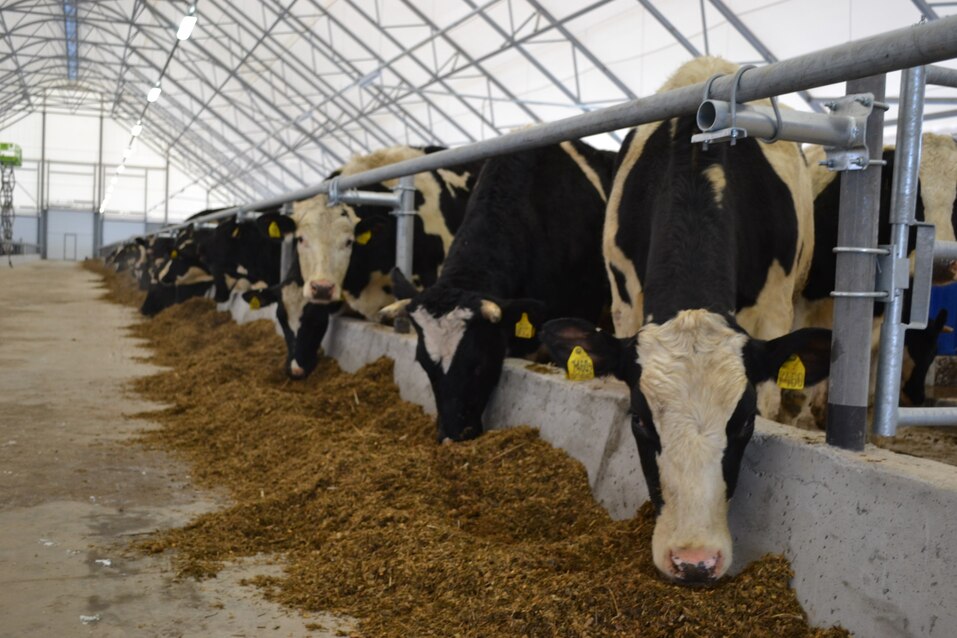 Фото: правительство Нижегородской области Фото: правительство Нижегородской области