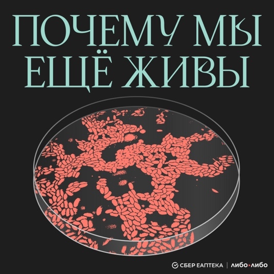 Сказки, андеграунд и бизнес-планы: топ подкастов для зимних праздников 2 Сказки, андеграунд и бизнес-планы: топ подкастов для зимних праздников 2