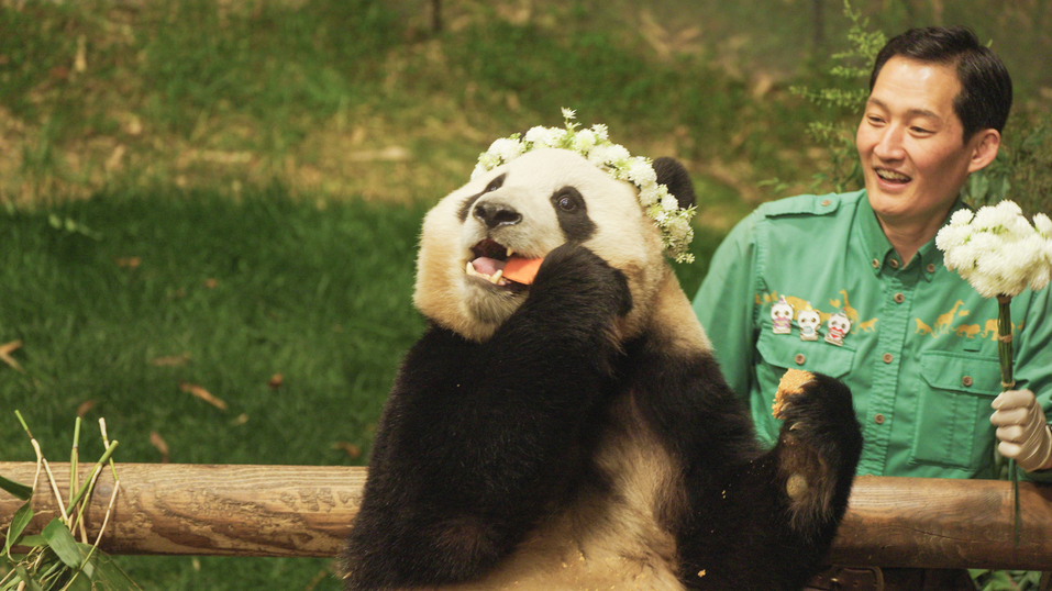 Искусство, которое согревает: куда сходить в Красноярске 11...17 января `2025 5 Искусство, которое согревает: куда сходить в Красноярске 11...17 января `2025 5