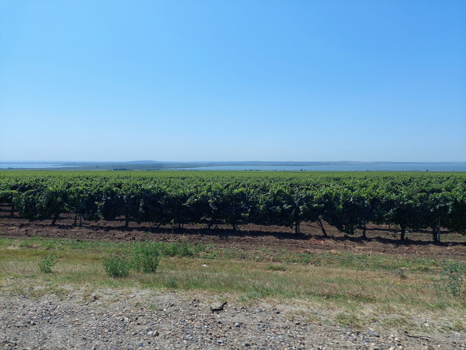 Песчаные пляжи, античность, этнопарк казаков, лотосы и лечебные грязи — это все Тамань 3 Песчаные пляжи, античность, этнопарк казаков, лотосы и лечебные грязи — это все Тамань 3