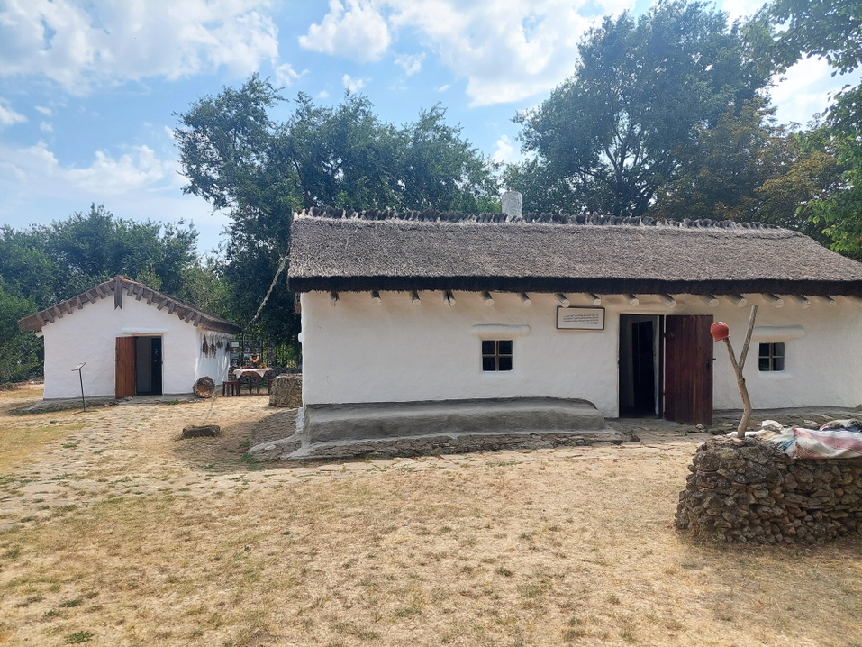 Песчаные пляжи, античность, этнопарк казаков, лотосы и лечебные грязи — это все Тамань 18 Песчаные пляжи, античность, этнопарк казаков, лотосы и лечебные грязи — это все Тамань 18