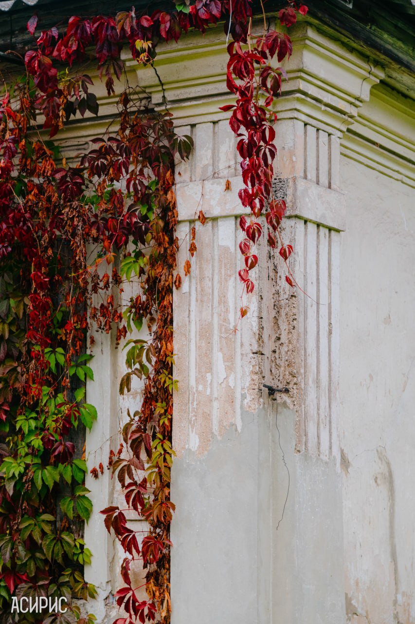 Фото: https://t.me/ano_asiris Фото: https://t.me/ano_asiris