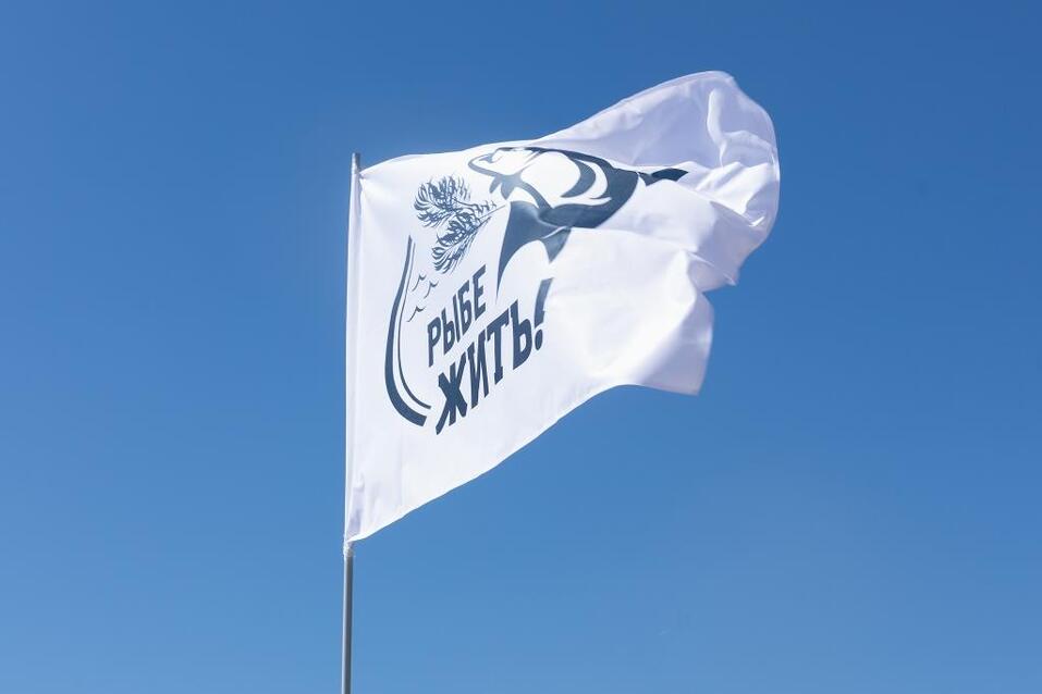 Рыба о проблемах не скажет: как сибирячка спасает Обь и экологию региона 1 Рыба о проблемах не скажет: как сибирячка спасает Обь и экологию региона 1