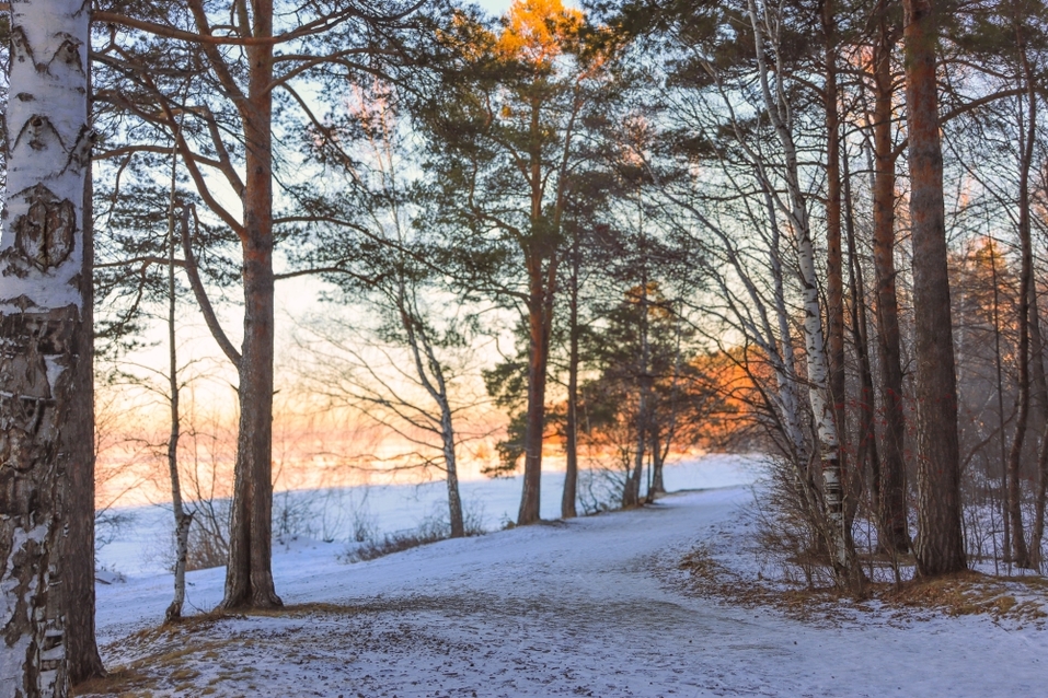 Три способа переехать в свой дом, оставаясь в городе 1 Три способа переехать в свой дом, оставаясь в городе 1