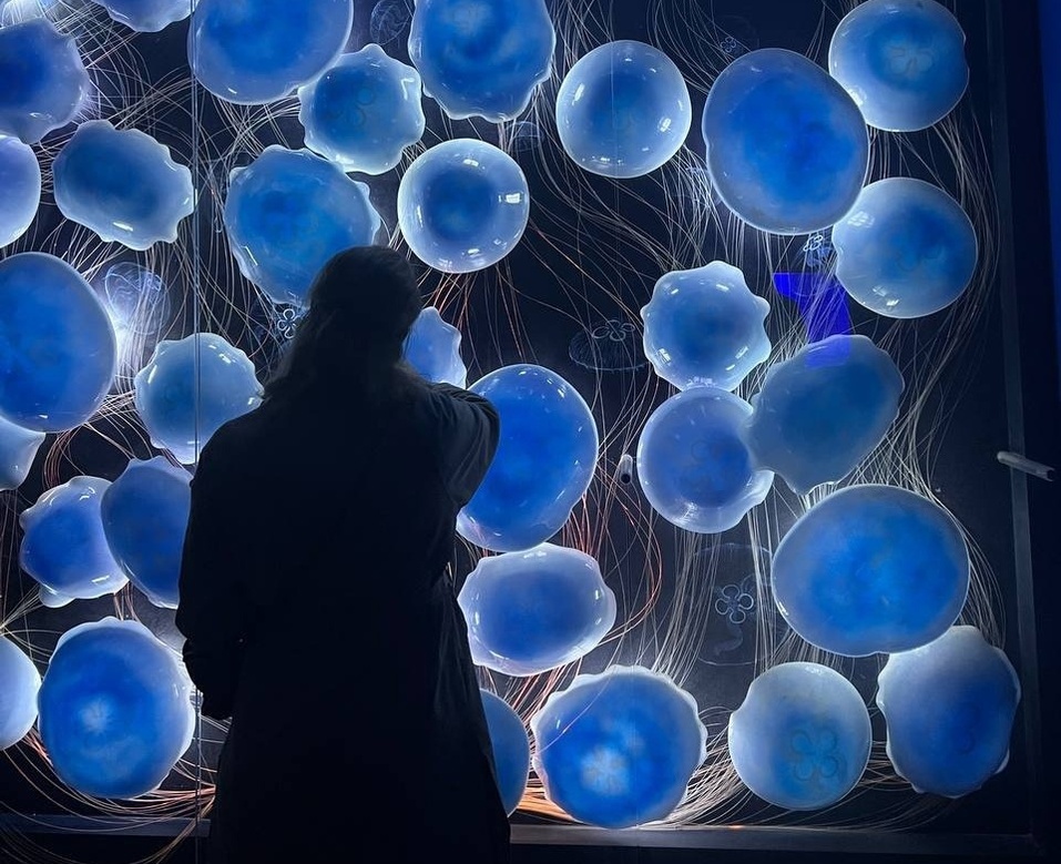 Внутренний туризм набирает обороты. Дальний Восток становится одним из перспективных направлений Внутренний туризм набирает обороты. Дальний Восток становится одним из перспективных направлений