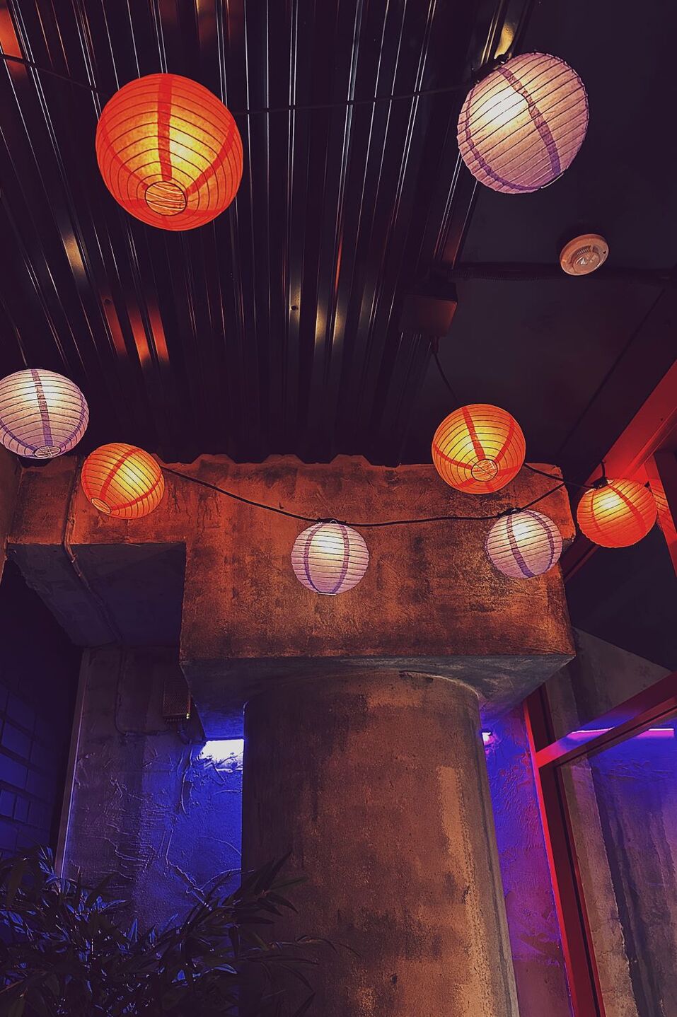 На Взлетке в Красноярске запустили заведение с азиатским стритфудом 4 На Взлетке в Красноярске запустили заведение с азиатским стритфудом 4