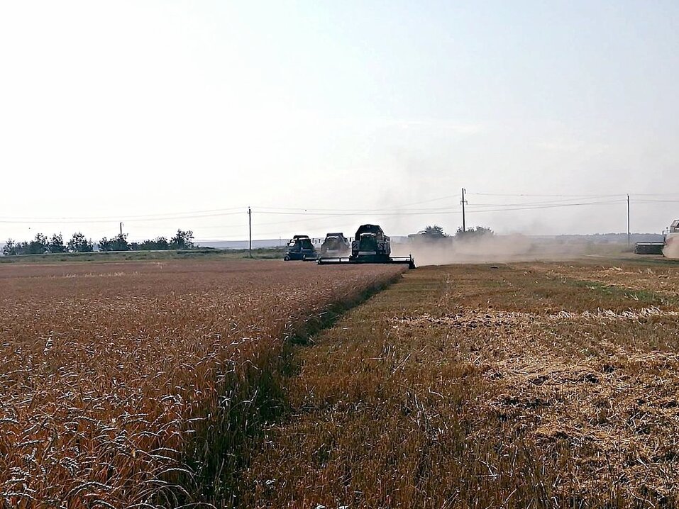 Деньги, климат, урожай: челябинские аграрии назвали основные проблемы отрасли 2 Деньги, климат, урожай: челябинские аграрии назвали основные проблемы отрасли 2