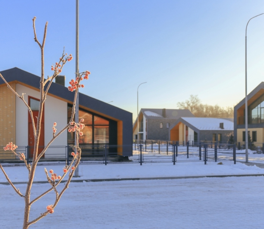 Что чувствуют коты, или почему общение с природой — великое дело 2 Что чувствуют коты, или почему общение с природой — великое дело 2