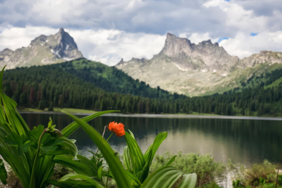 Озеро Светлое, горный массив Ергаки, центральная часть Западных Саян, юг Красноярского края | Артём Глазков Озеро Светлое, горный массив Ергаки, центральная часть Западных Саян, юг Красноярского края | Артём Глазков