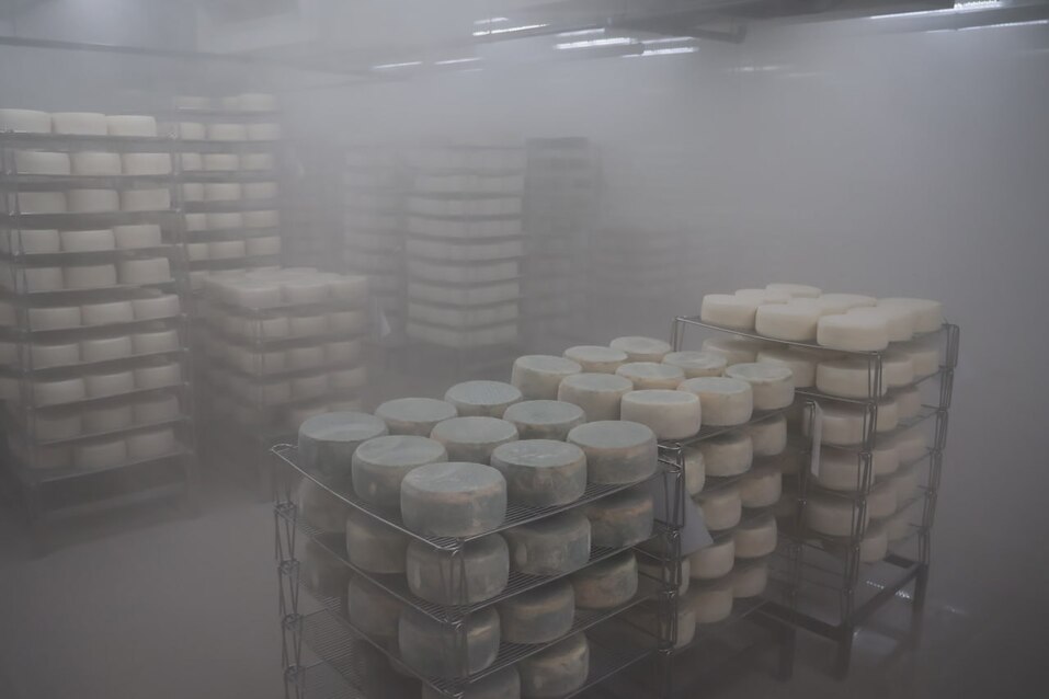 Фото: правительство Нижегородской области Фото: правительство Нижегородской области