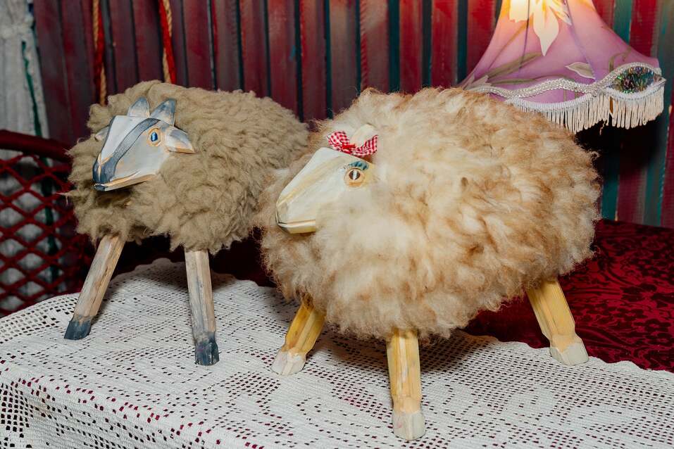 Под соусом контроля: вызовы и возможности зообизнеса в России 7 Под соусом контроля: вызовы и возможности зообизнеса в России 7