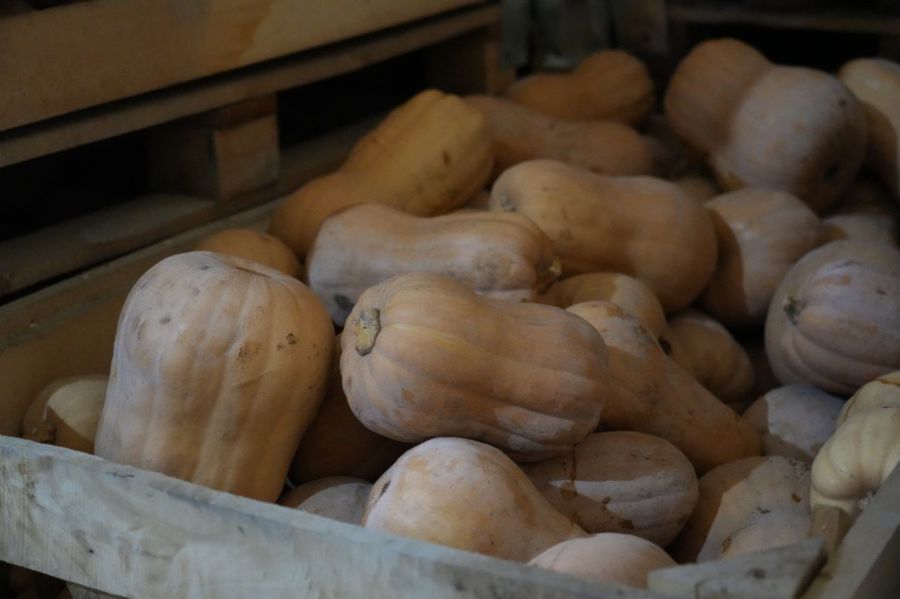 Свердловские предприниматели договорились о поставках на Урал киргизских овощей и ягод 1 Свердловские предприниматели договорились о поставках на Урал киргизских овощей и ягод 1