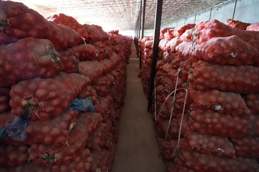 Свердловские предприниматели договорились о поставках на Урал киргизских овощей и ягод 3 Свердловские предприниматели договорились о поставках на Урал киргизских овощей и ягод 3