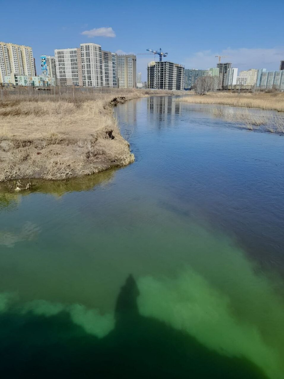 Экологи назвали причину зеленого цвета воды в реке Миасс в Челябинске 2 Экологи назвали причину зеленого цвета воды в реке Миасс в Челябинске 2