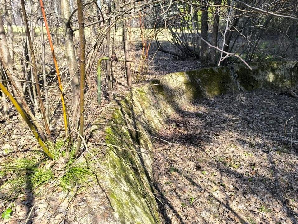 Золотой Академ. Новая историческая прогулка с «дедом Голодяем»
6 Золотой Академ. Новая историческая прогулка с «дедом Голодяем»
6