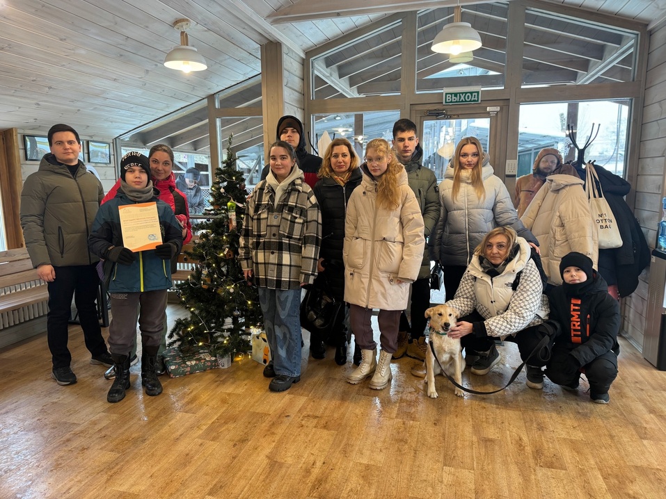 Светлана Помпаева — о новых задачах, аукционах и жизни коллектива 7 Светлана Помпаева — о новых задачах, аукционах и жизни коллектива 7