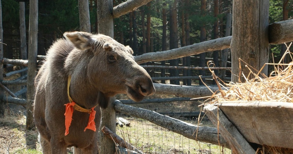 Топ мест для отдыха на майские в Челябинской области: куда поехать и что посмотреть
3 Топ мест для отдыха на майские в Челябинской области: куда поехать и что посмотреть
3