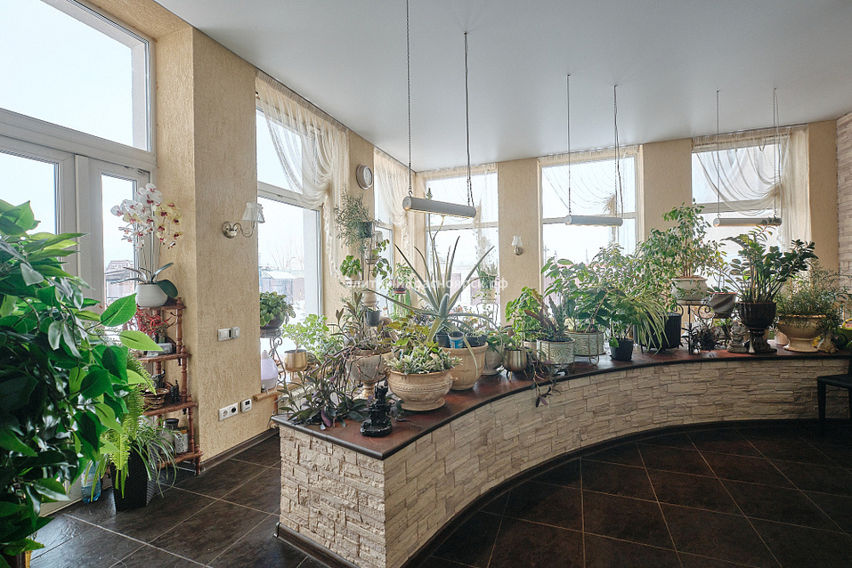 Иллюстрация: elitekrsk.ru Иллюстрация: elitekrsk.ru