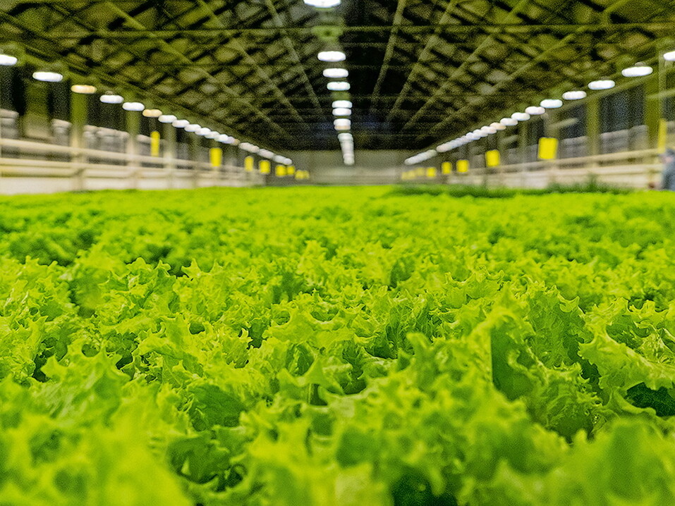 фото: Леонид Прядко фото: Леонид Прядко