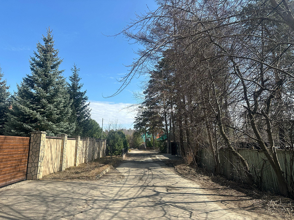 В Красноярске на Удачном продают участок с соснами за 47 млн рублей 1 В Красноярске на Удачном продают участок с соснами за 47 млн рублей 1